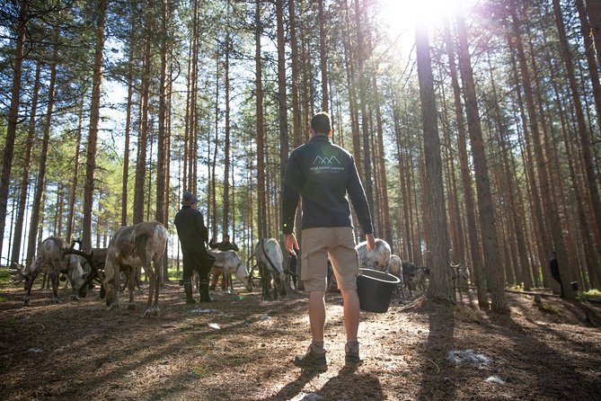 Authentic Reindeer Farm and Canoe Experience from Rovaniemi - Learning to canoe before heading out