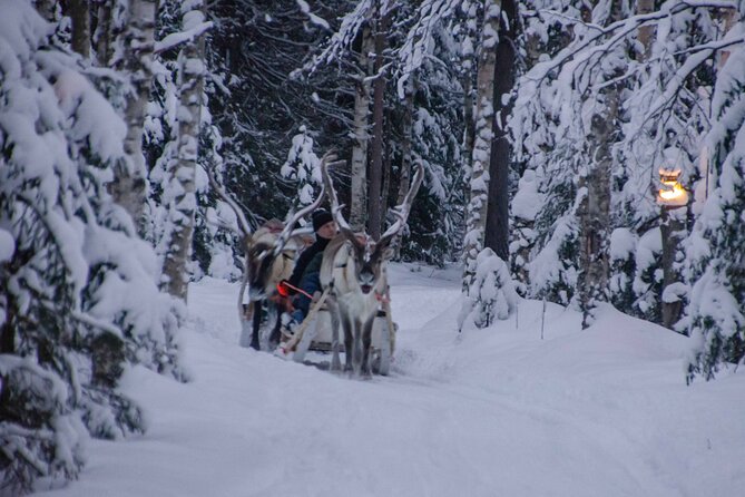 Authentic Reindeer Farm Experience in Rovaniemi - Assessing the $120.15 price
