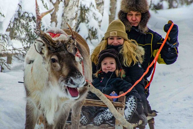 Authentic Reindeer Farm Experience in Rovaniemi - Who will enjoy this Rovaniemi experience?