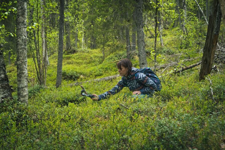 Auttiköngäs Hiking Experience - Key points at a glance