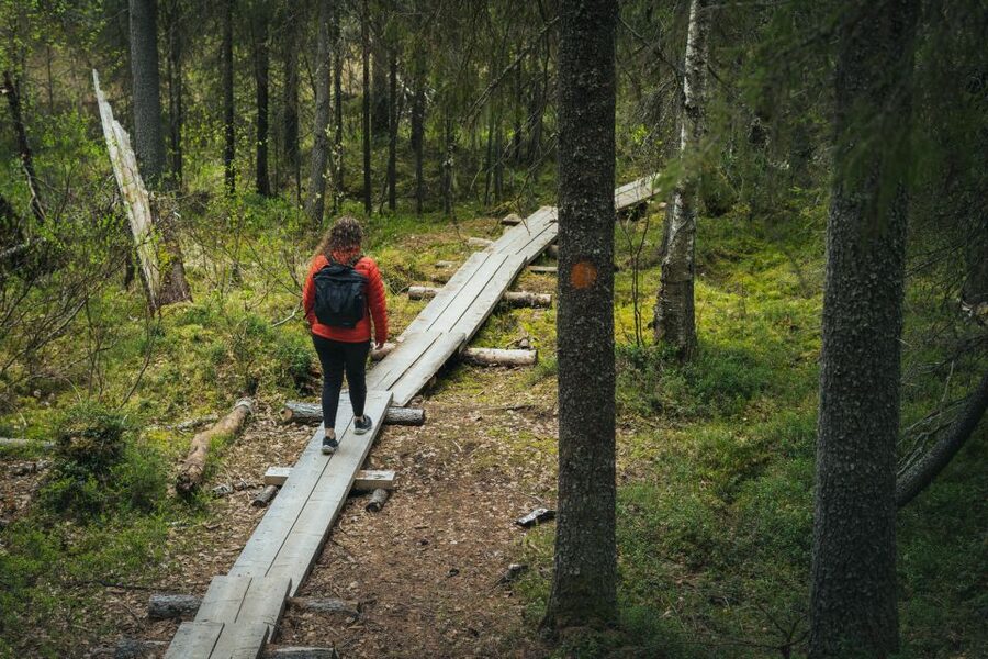 Auttiköngäs Hiking Experience - Woodland paths and waterfall viewpoints