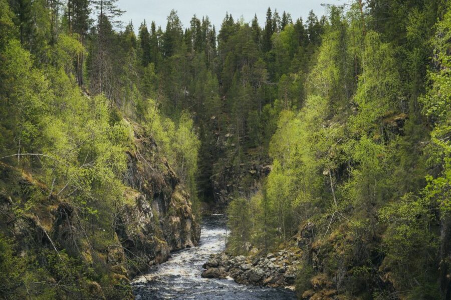 Auttiköngäs Hiking Experience - What the $165 price includes
