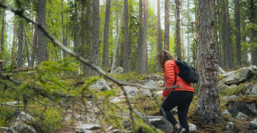 Auttiköngäs Hiking Experience - Who will enjoy this Auttiköngäs tour most