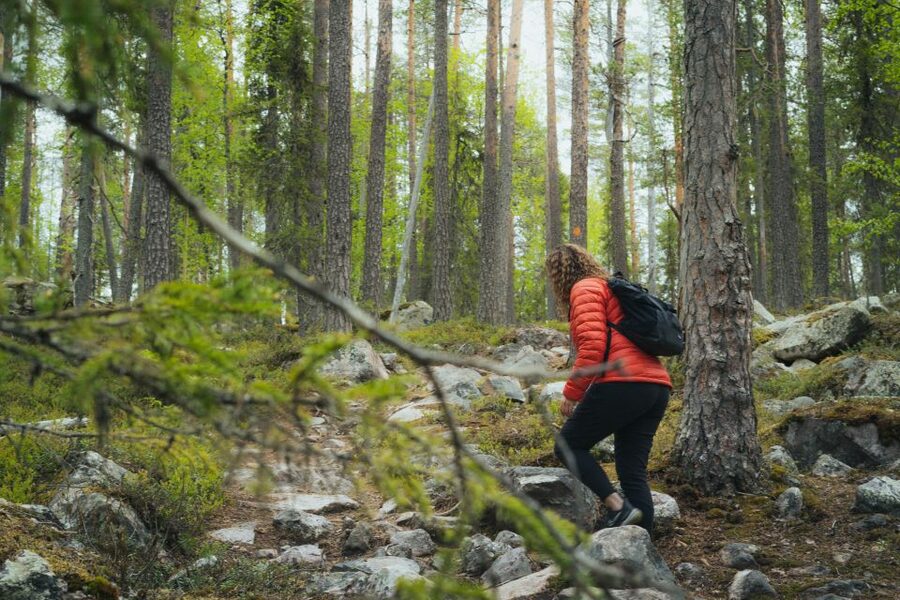 Auttiköngäs Hiking Experience - Leaving Rovaniemi for the forest
