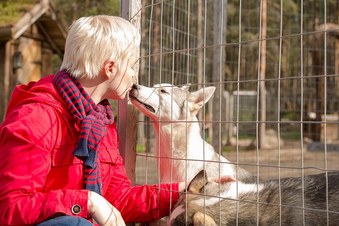 Autumn Delight - Visit to husky, reindeer and Santa Claus in Rovaniemi - What this Rovaniemi morning is really about