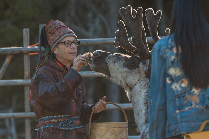 Autumn Delight - Visit to husky, reindeer and Santa Claus in Rovaniemi - Seeing how the huskies live and work