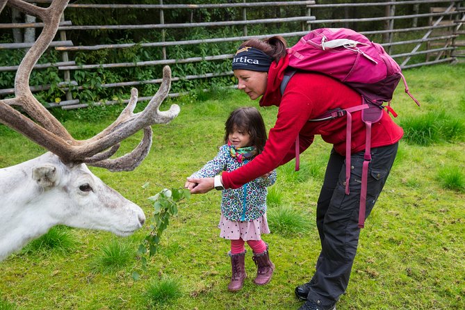 Autumn Delight - Visit to husky, reindeer and Santa Claus in Rovaniemi - Starting at Safartica at 9:30 am