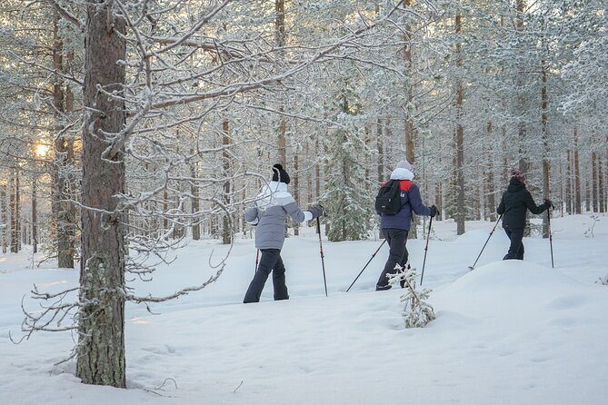 Backcountry Ski Adventure from Rovaniemi - A taste of wilderness, not a fixed sightseeing show