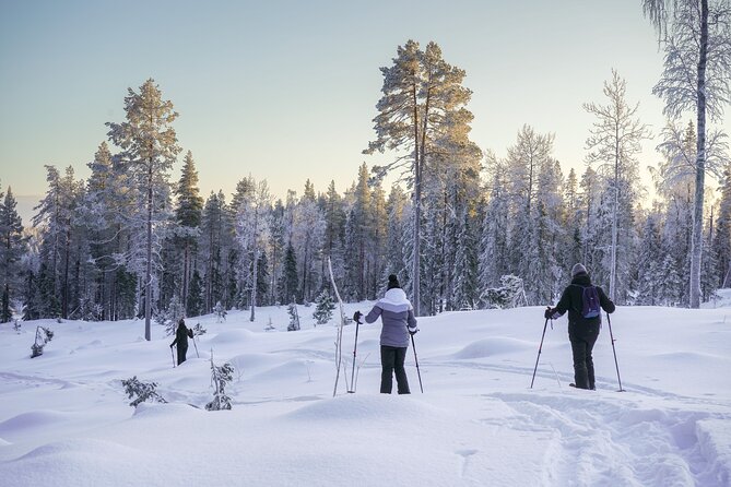 Backcountry Ski Adventure from Rovaniemi - Price and value at $127.25