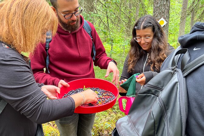Berry Picking in a National Park - Campfire lunch beside the lake