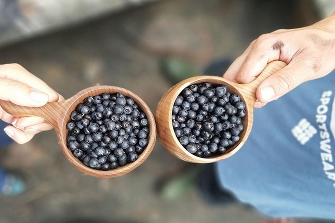 Berry Picking in a National Park - Returning through Liesjärvi after lunch