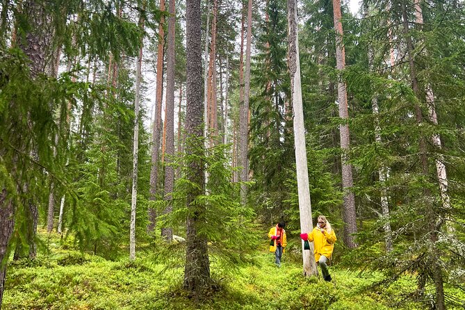 Berry Picking in a National Park - Weather, clothing, and the small details that matter