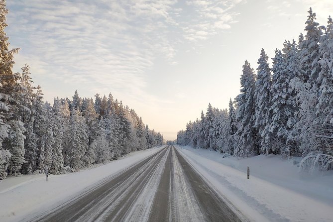Best Of Lapland: Sauna, Ice swimming, Dinner & Northern Lights - Open-fire smoked salmon after the sauna