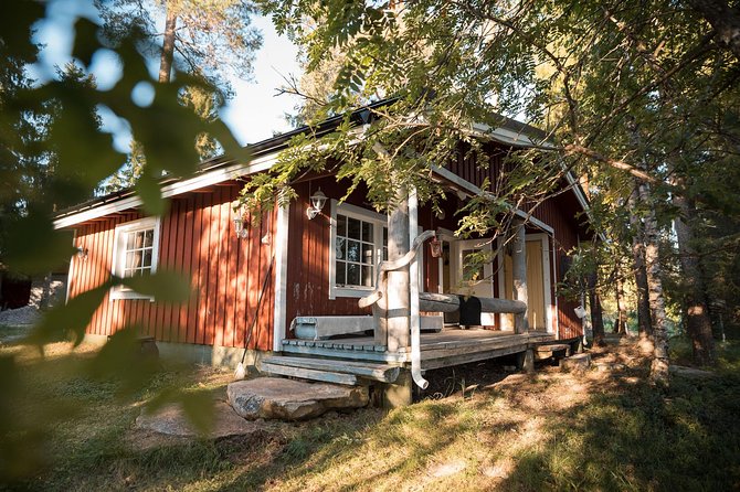 Best Of Lapland: Sauna, Ice swimming, Dinner & Northern Lights - Who should book this Rovaniemi outing?