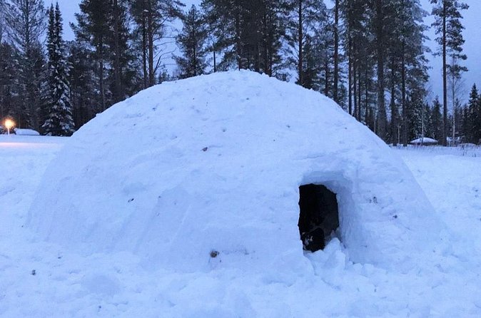 Building a Snow Igloo in Rovaniemi - From Rovakatu to the Lapland countryside