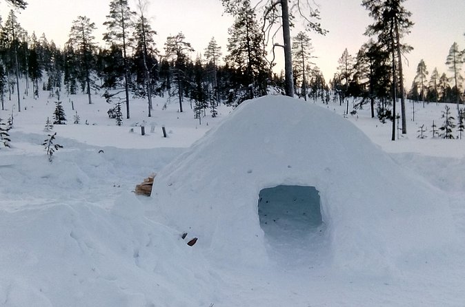 Building a Snow Igloo in Rovaniemi - Group size, timing, and practical planning