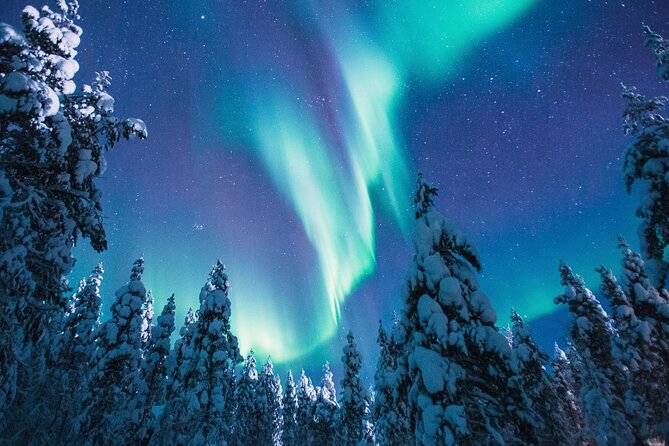 Bus Tour with Hunting Northern Lights - Starting at Maakuntakatu 29-31 in Central Rovaniemi