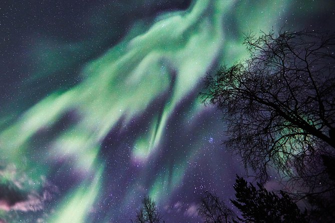Capturing Auroras in Pyhä - The guide’s role, from instruction to timing