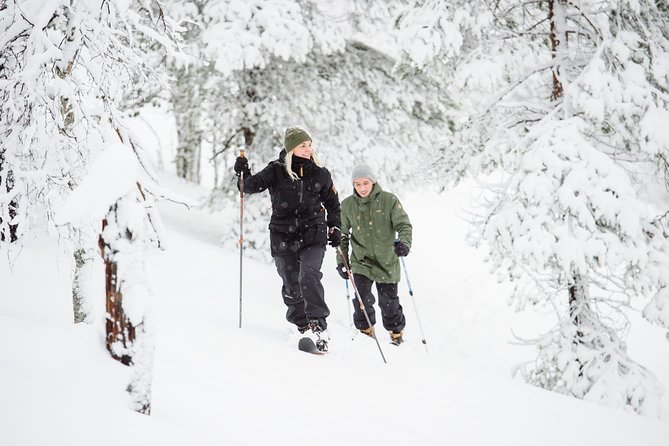 Classic Wilderness Skiing in the Pyhä-Luosto National Park - Moving through Pyhätunturi and the national park