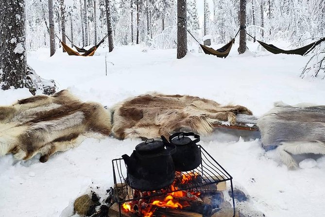 Cocooning in the HaliPuu forest: The ultimate Arctic hammock relaxation - Key points to know before booking