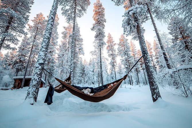 Cocooning in the HaliPuu forest: The ultimate Arctic hammock relaxation - Why this quiet forest experience works