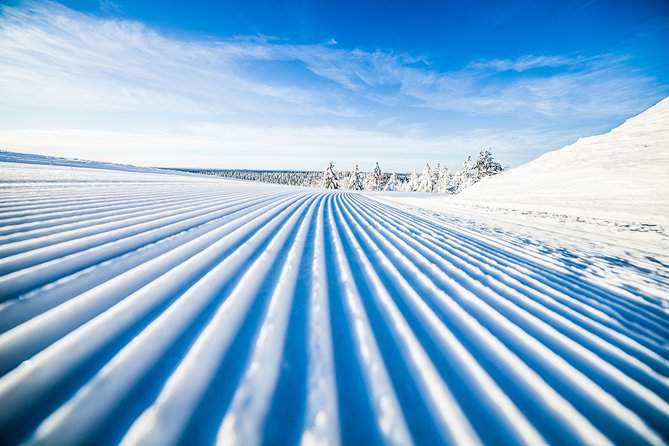 Cross-Country Skiing Trip - Why cross-country skiing fits Rovaniemi so well