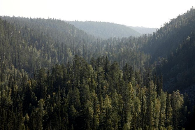 Day at Korouoma Canyon National Park & Auttiköngäs Falls - Who will enjoy this outing most?