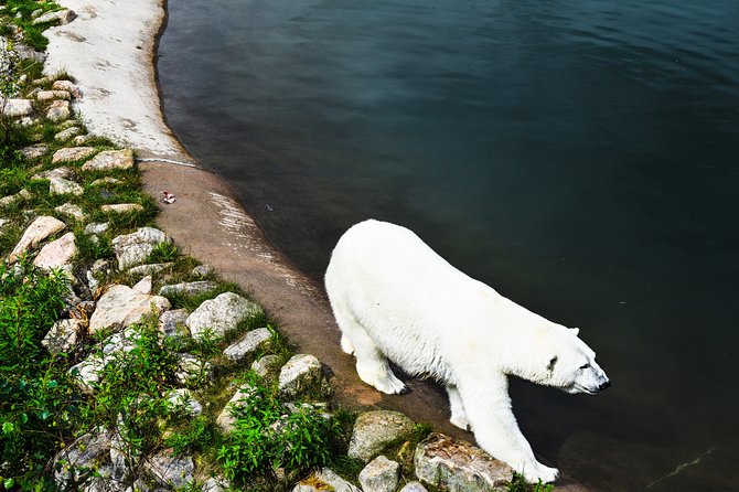 Day Trip to Ranua Arctic Wildlife Park from Rovaniemi - Is $157.74 good value?