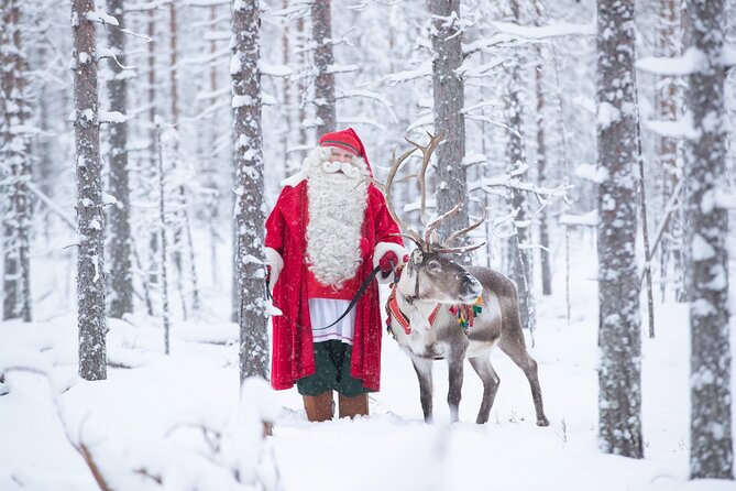Daytour to Santa Claus Village, Reindeer and Husky Safaris, Photo, and Lunch - Crossing the Arctic Circle in ten minutes