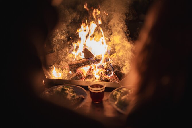 Dinner with Northern Light hunt in Rovaniemi - Key points to know before booking