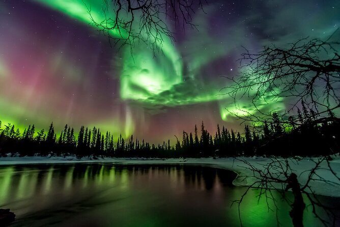 Dinner with Northern Light hunt in Rovaniemi - Who will enjoy this evening most?