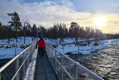 Discover Inari: Reindeer Farm, Siida Museum & Open Fire Lunch