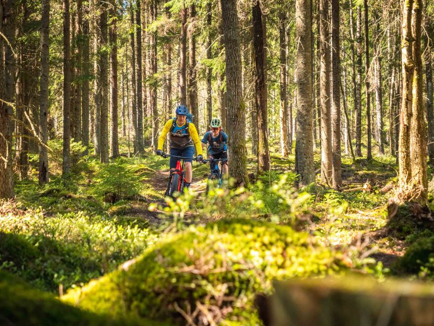 E-FatBike experience in small groups - Key points before you book