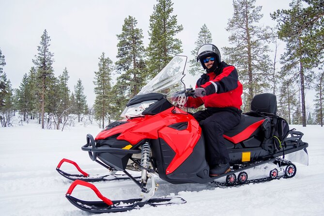 Easy Snowmobile Safari - Key points to know before booking