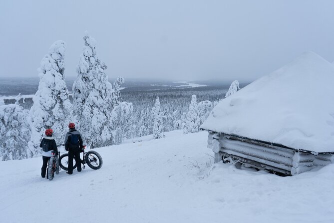 Electric Fatbike Tour in Winter - Key points at a glance