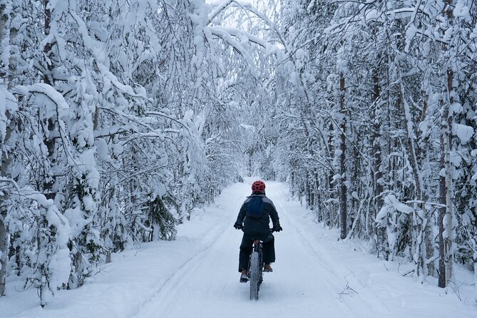 Electric Fatbike Tour in Winter - Choosing between an easy ride and a hilltop route