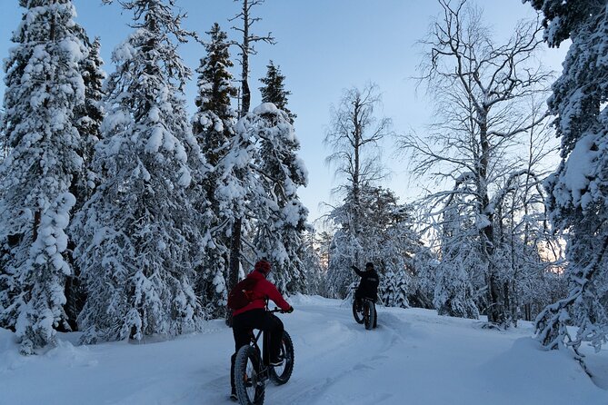 Electric Fatbike Tour in Winter - How the $186.17 price measures up