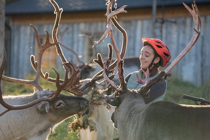 Electric Fatbike Trip to the Reindeer Farm - Why this morning works so well