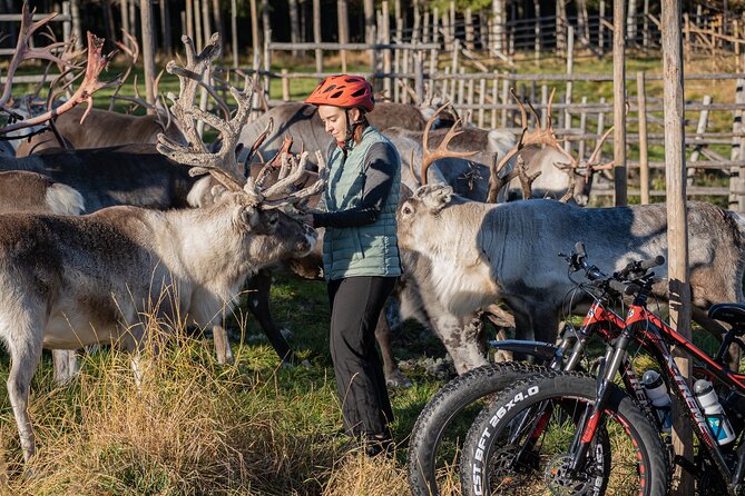 Electric Fatbike Trip to the Reindeer Farm - Returning by a different route