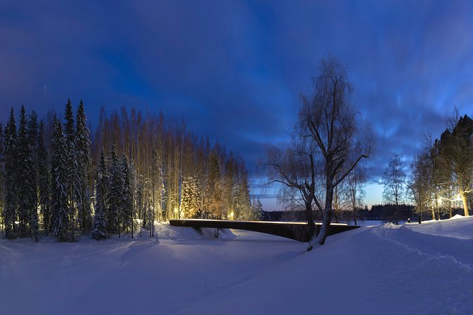 Entry to the amazing Serlachius Museums in the Tampere region - Key points to know before you go