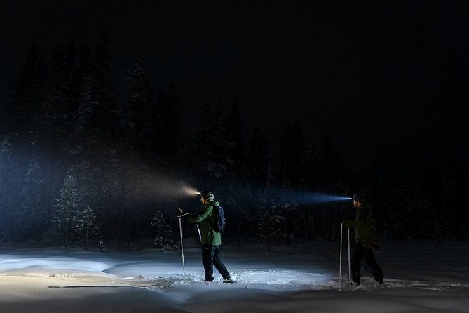 Evening Ski Trek to the Wilderness - Extra Small group - The kota fire, grilled food, and reindeer skins
