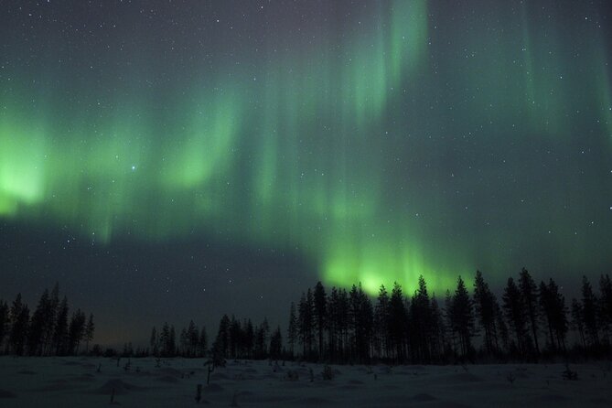 Evening Ski Trek to the Wilderness - Extra Small group - Leaving Rovaniemi at 6 p.m.