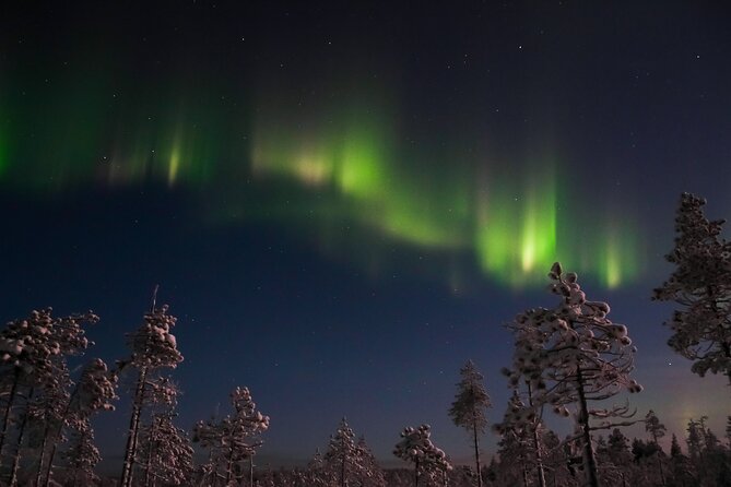 Evening Snowmobile Safari with Campfire in Saariselkä - Who will enjoy this Saariselkä safari