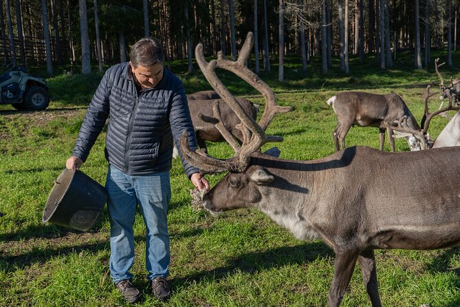 Experience Reindeer Farm and Ranua Wildlife Park in Rovaniemi - Starting at Jaakonkatu 4-6 at 9:00 a.m.