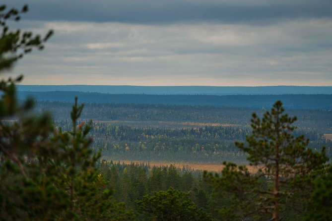 Explore the Wilderness (Summer & Autumn) - Why this Rovaniemi photo trip is different