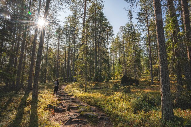 Explore the Wilderness (Summer & Autumn) - The edited photo collection after the tour