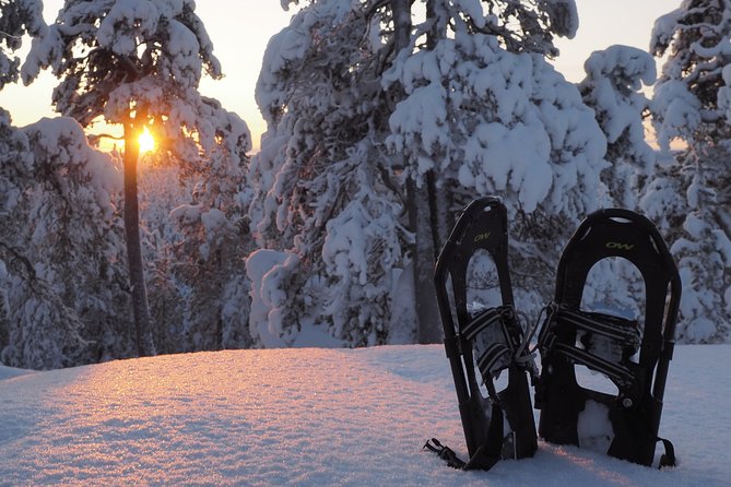 Explore Winter Woods: Snowshoe walk with local Biologist - Key points to know before booking