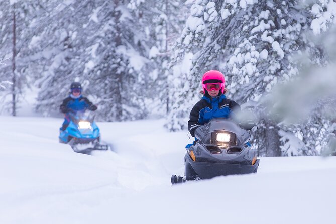 Family day: Reindeer, Husky and Snowmobiling in Levi - A packed morning from Levi