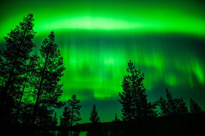 Family-Friendly: Northern Lights Adventure from Rovaniemi - Why the Small Group Matters