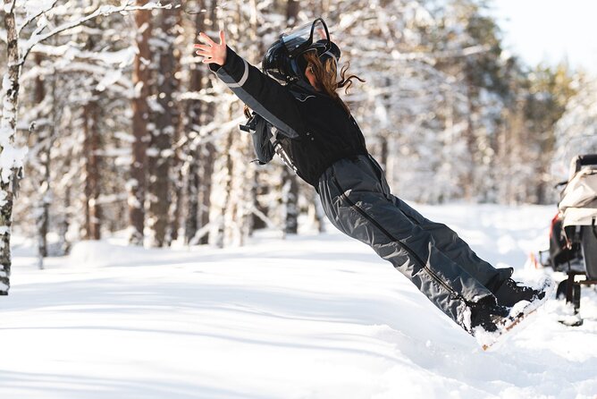 Family Snowmobile Safari from Santa Claus Village - Price, group size, and the real value